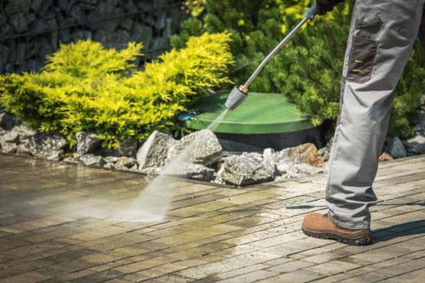 Best Gutter Cleaning and Brightening in Apache Junction, AZ